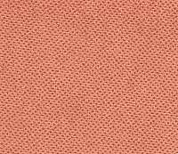 HC04 - starorůžová